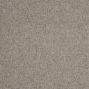 Sahara