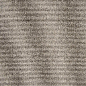 Sahara