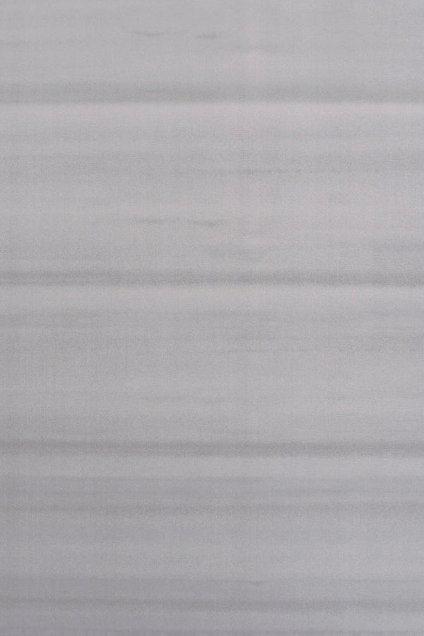 Campeón