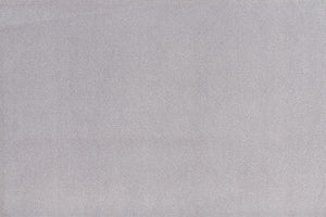 Campeón