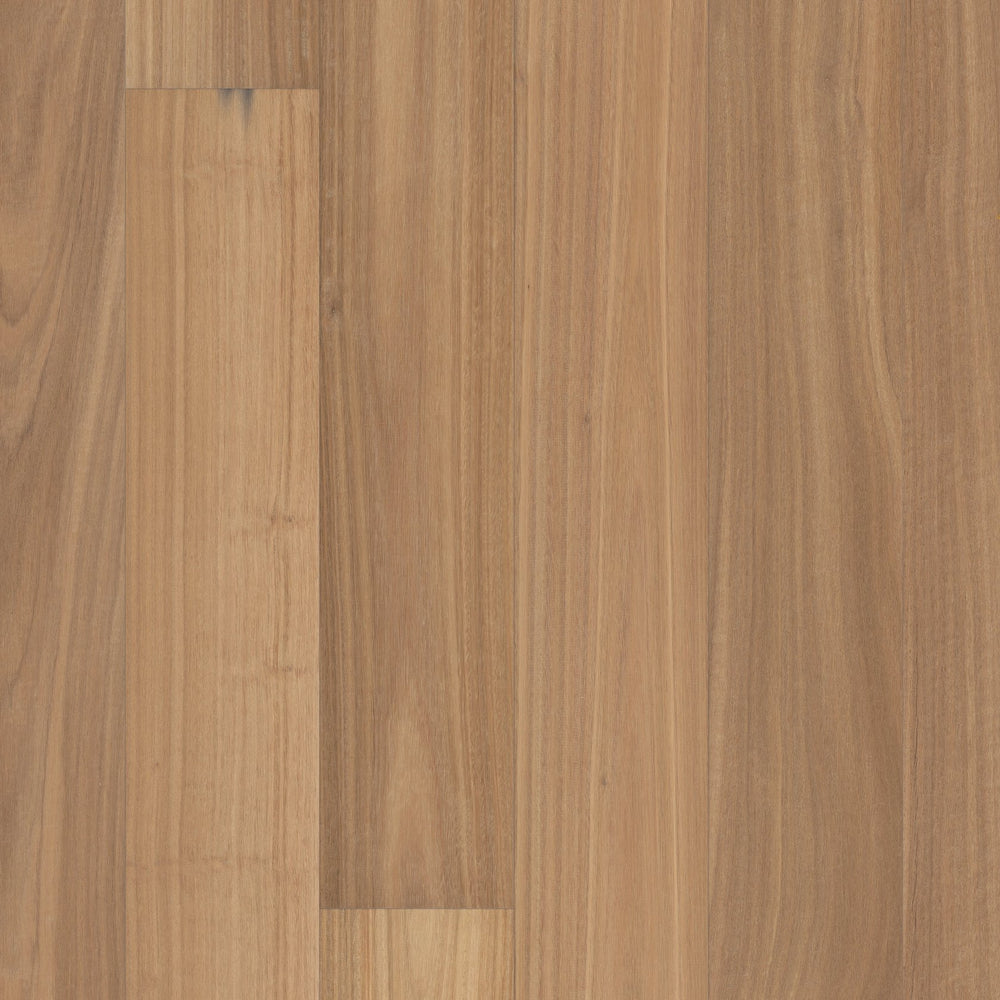 Valencia Walnut