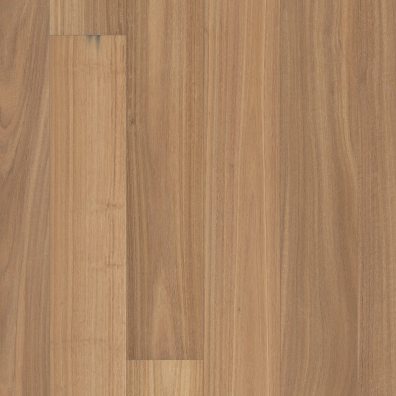 Valencia Walnut