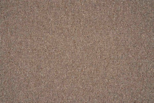 Sahara