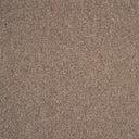Sahara
