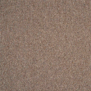 Sahara