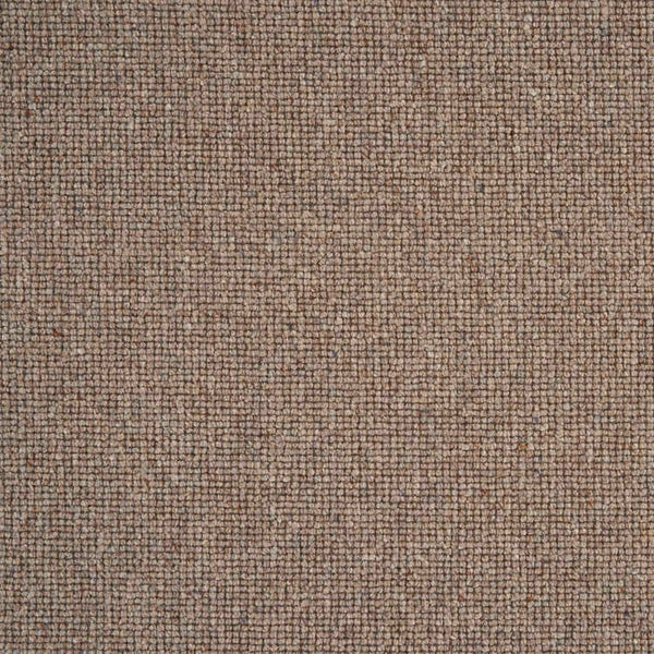 Sahara