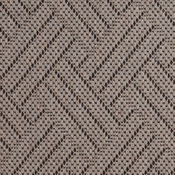 Palmera