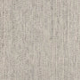 Splendor Stria