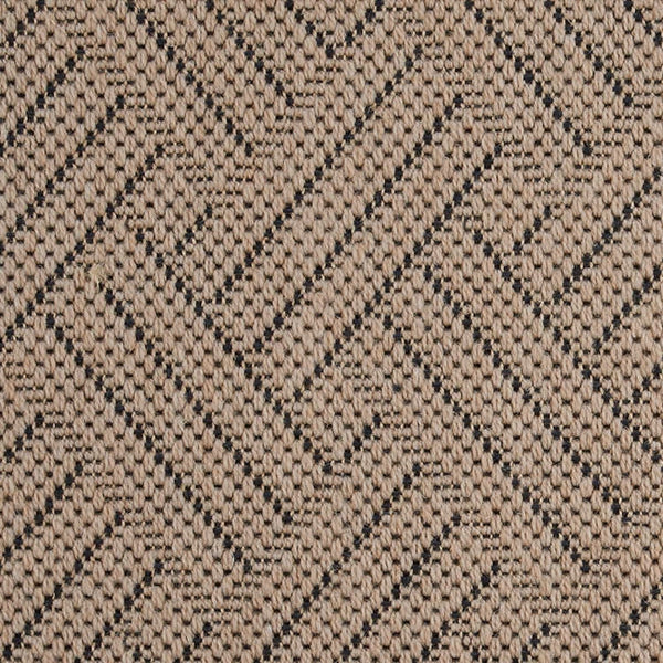 Palmera